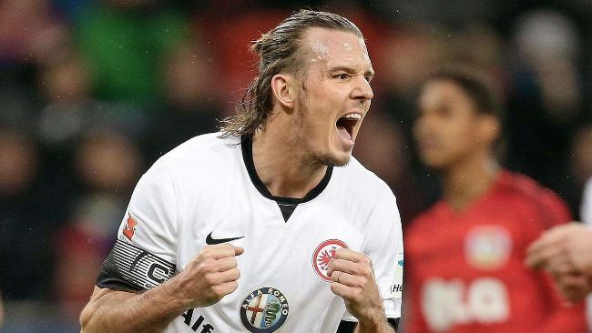 来又能增强 来又能增强