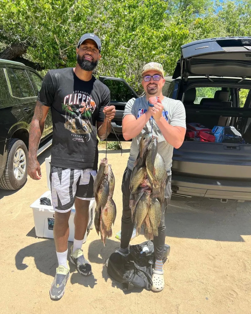 还通过多角 还通过多角